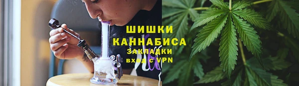 PSILOCYBIN Бронницы