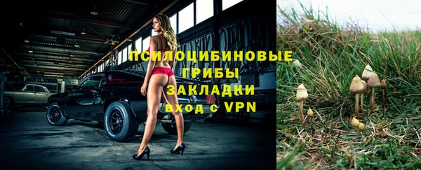 spice Липки