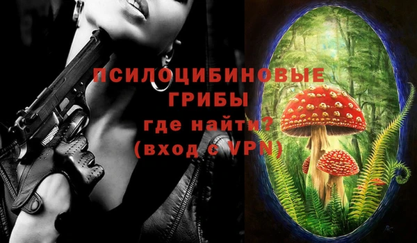 spice Липки