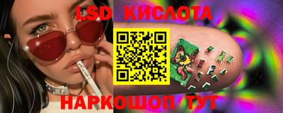 шишки Балашиха