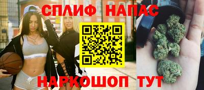 МДПВ Будённовск