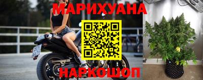 шишки Балашиха