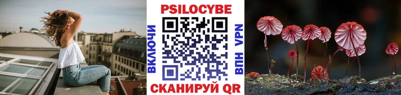 Галлюциногенные грибы Psilocybe darknet формула Железногорск