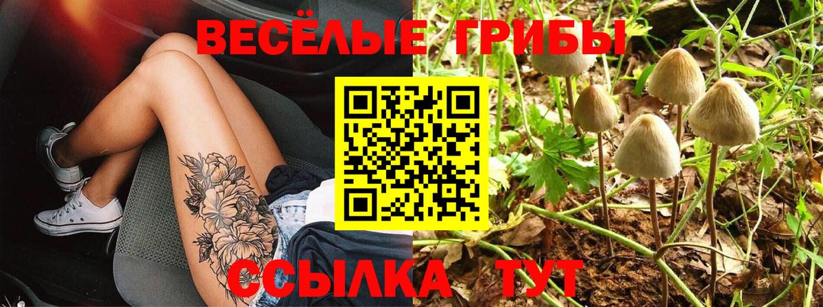 наркошоп  Псилоцибиновые грибы мухоморы  Псилоцибиновые грибы Magic Shrooms  Вход с VPN  Железногорск 
