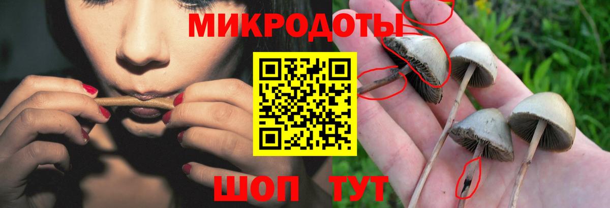 Псилоцибиновые грибы Psilocybine cubensis  Галлюциногенные грибы Psilocybe  где купить наркоту  Железногорск 